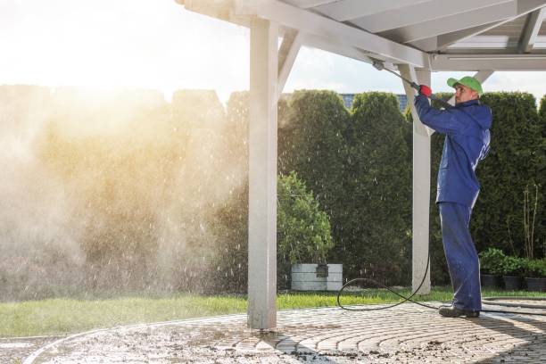 Best Graffiti Removal  in Creola, AL