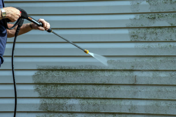 Best Residential Exterior Washing  in Creola, AL